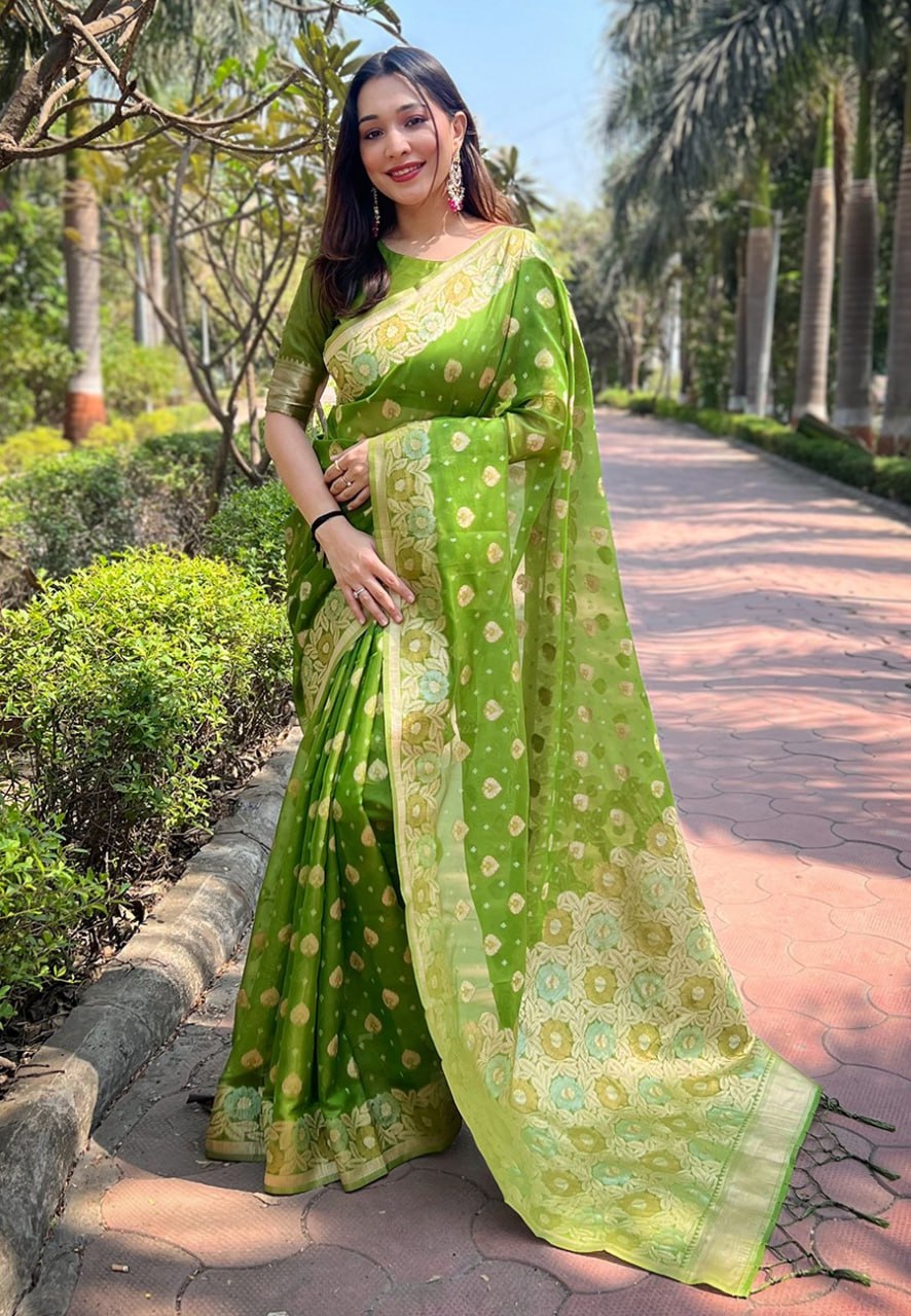 OJASVI ORGANZA SAREE