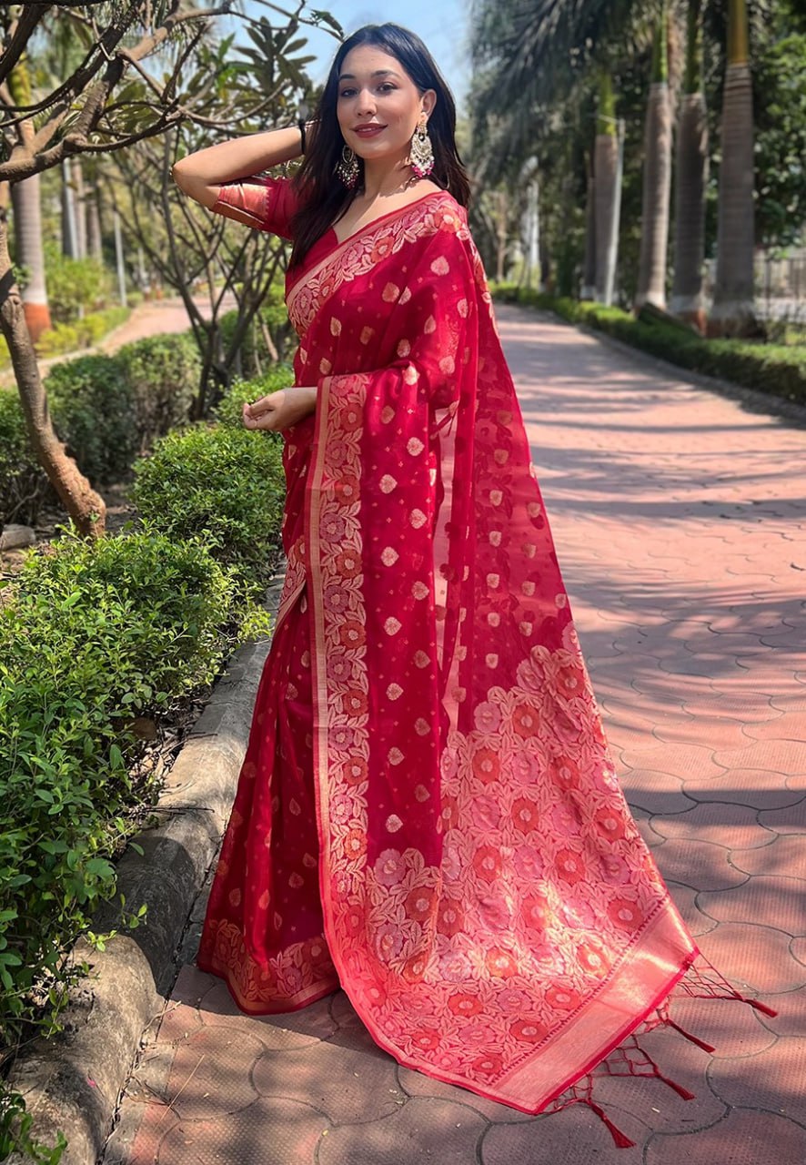 OJASVI ORGANZA SAREE