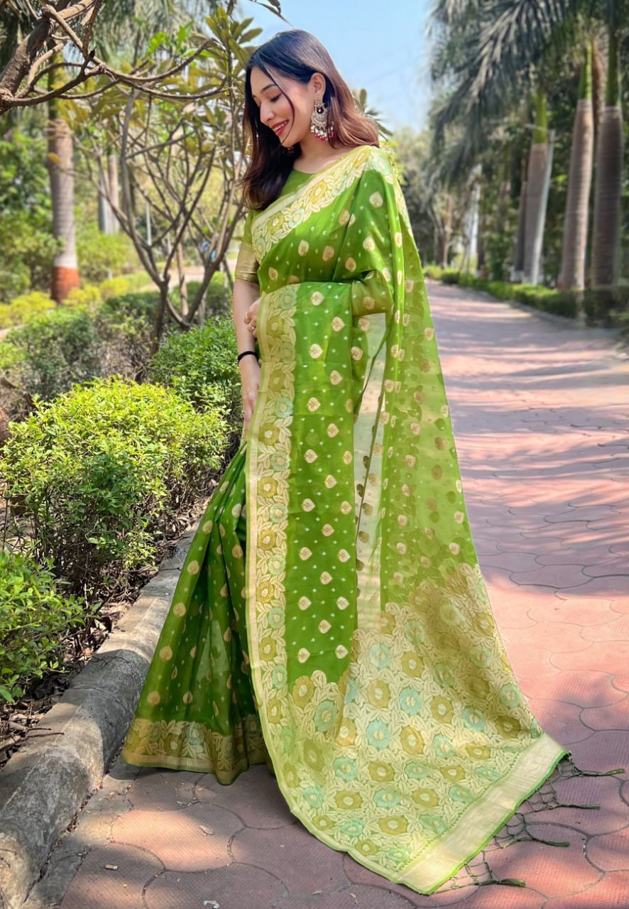 OJASVI ORGANZA SAREE