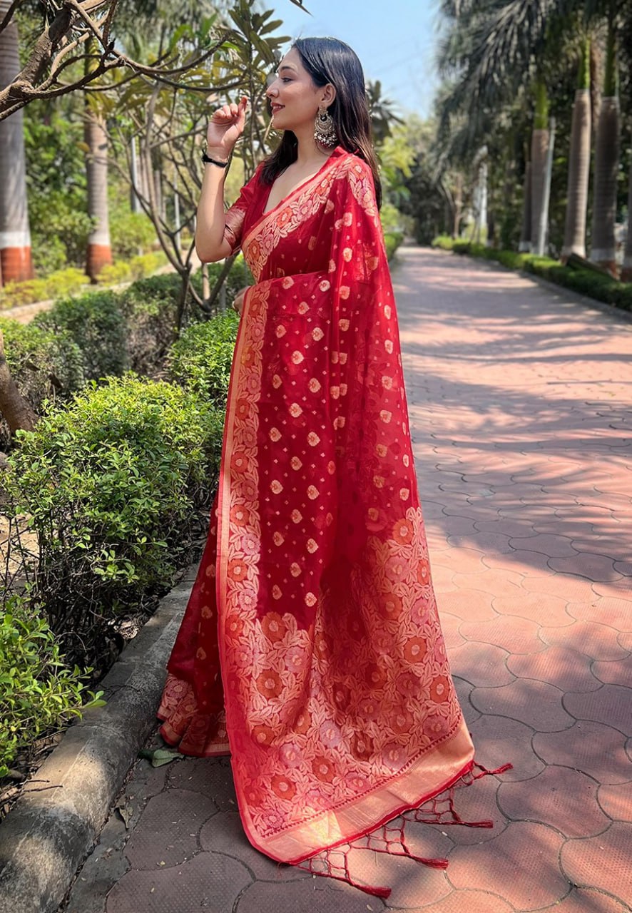 OJASVI ORGANZA SAREE