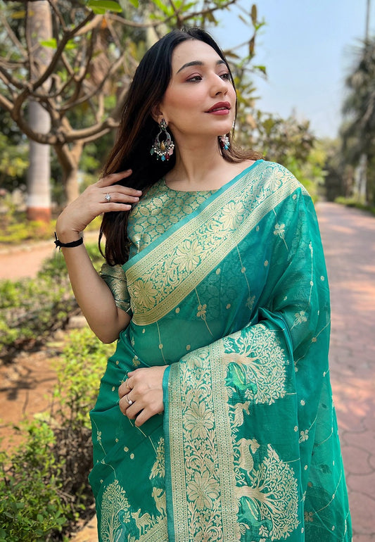 ISHITA ORGANZA SAREE