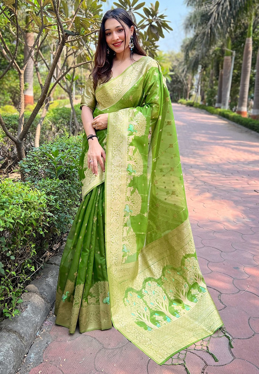 ISHITA ORGANZA SAREE