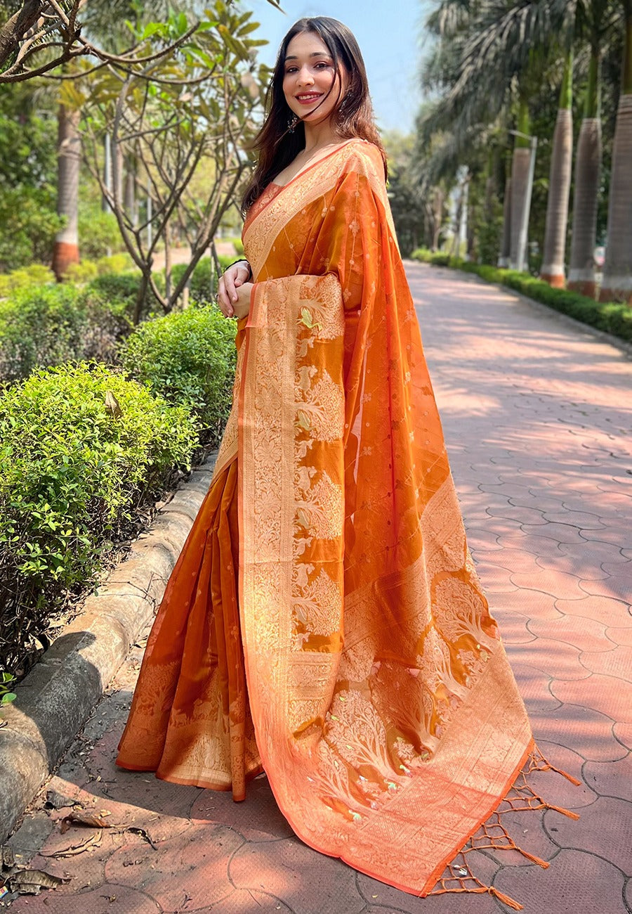 ISHITA ORGANZA SAREE