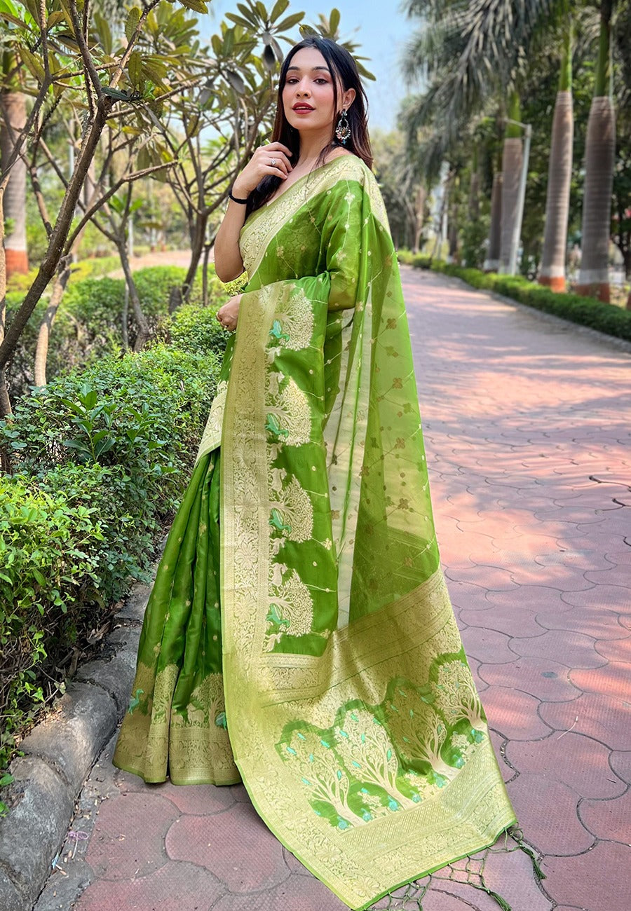 ISHITA ORGANZA SAREE