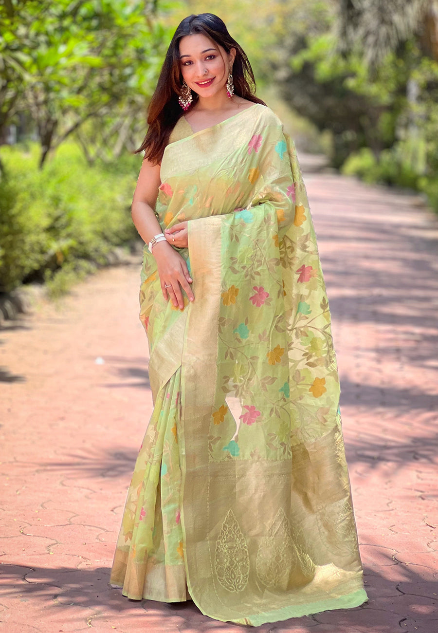 NAINA ORGANZA SAREE