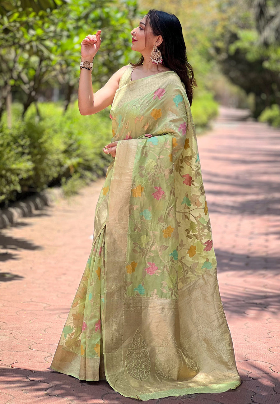 NAINA ORGANZA SAREE