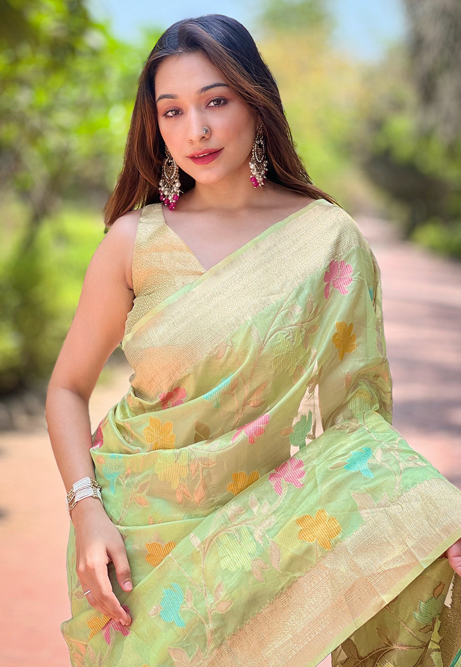 NAINA ORGANZA SAREE