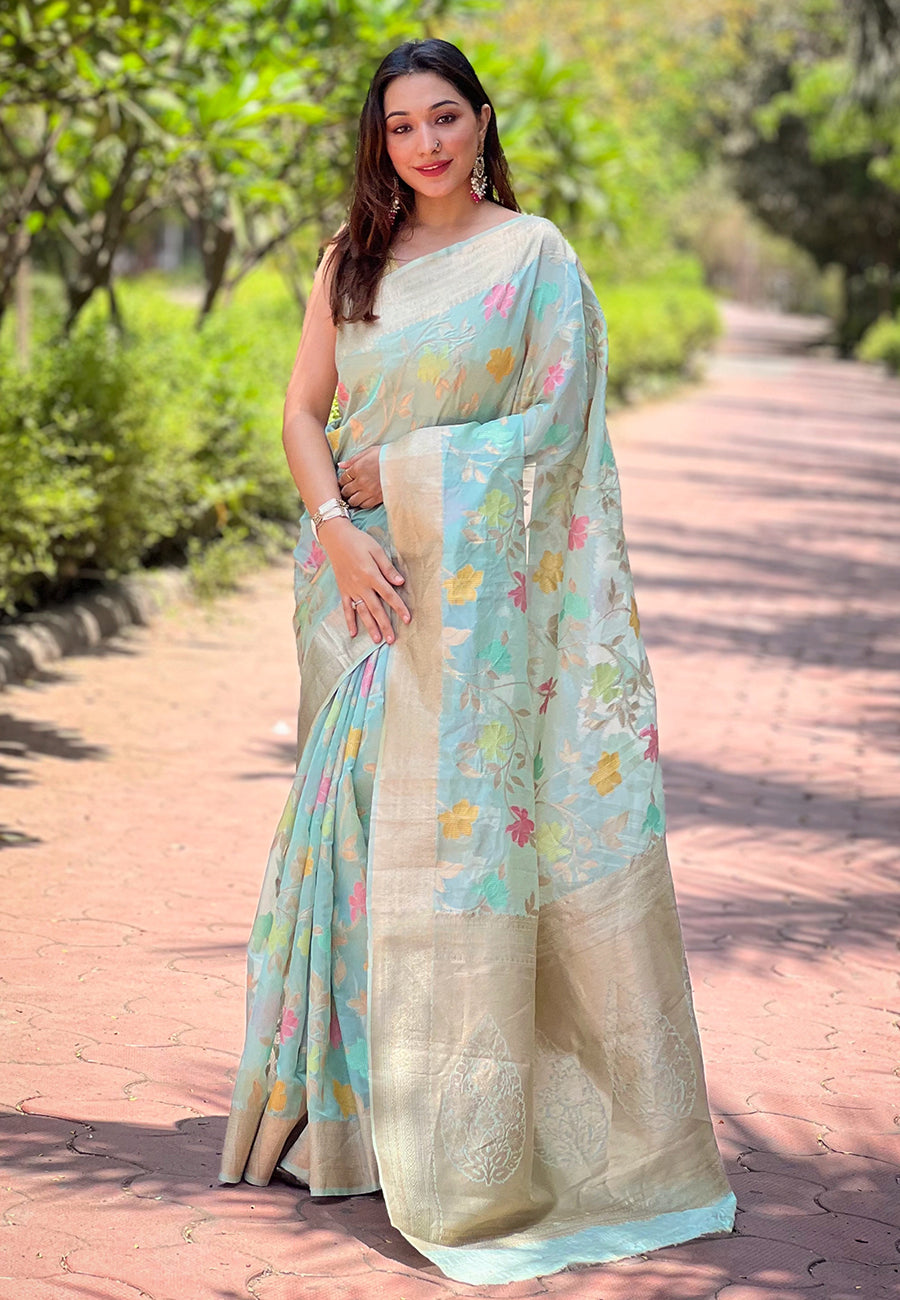 NAINA ORGANZA SAREE