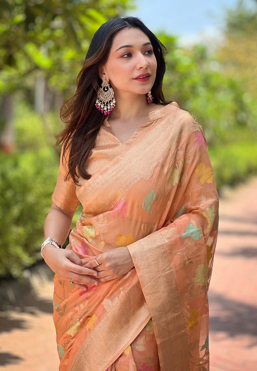 NAINA ORGANZA SAREE