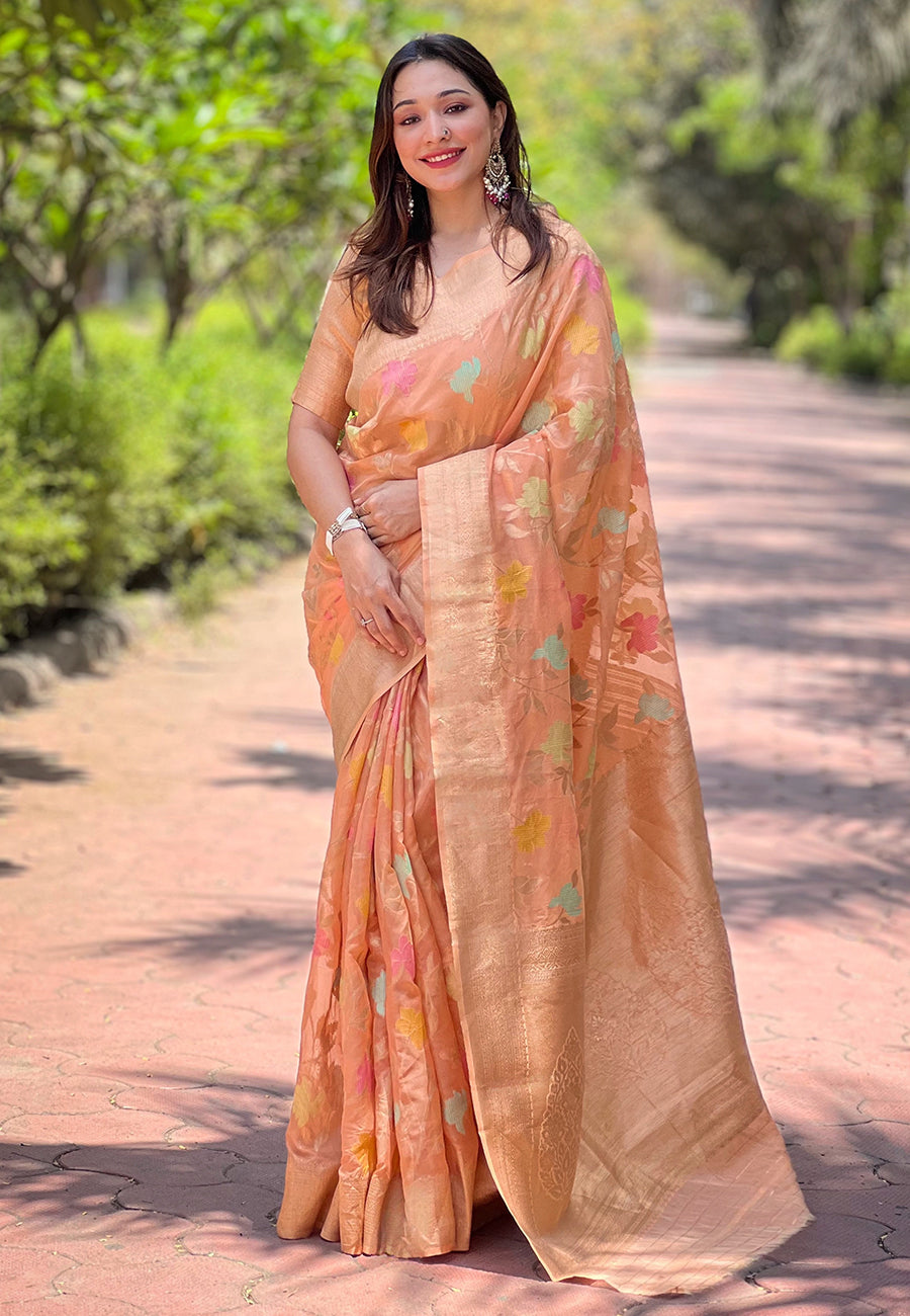 NAINA ORGANZA SAREE