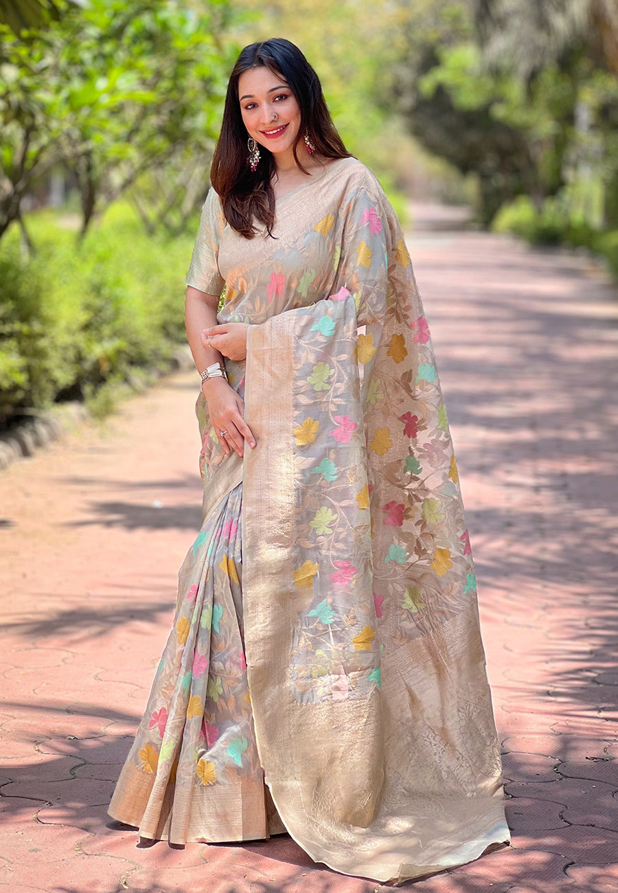 NAINA ORGANZA SAREE