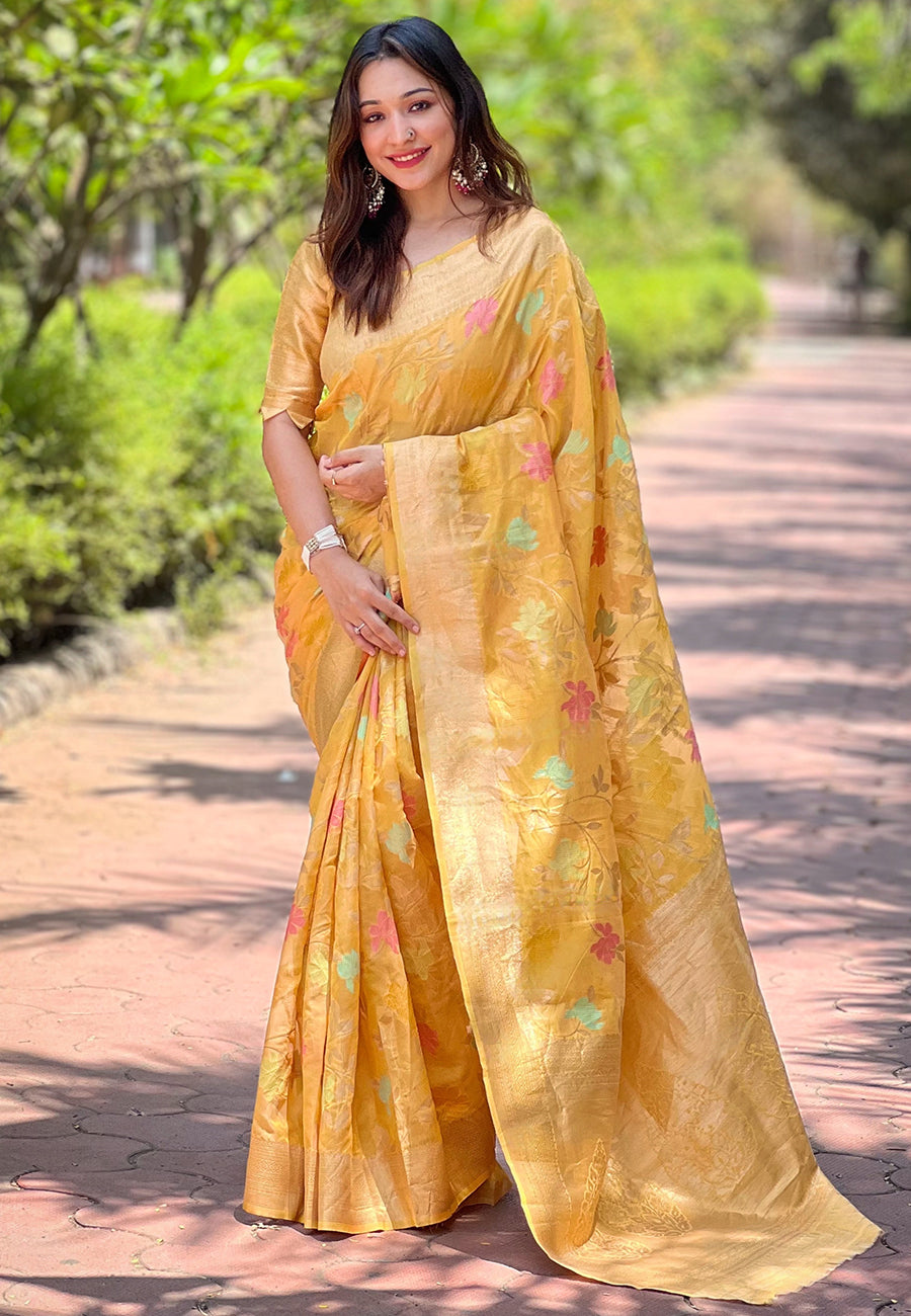 NAINA ORGANZA SAREE