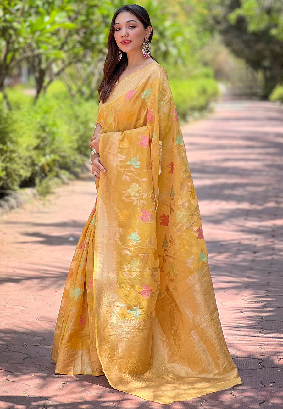 NAINA ORGANZA SAREE