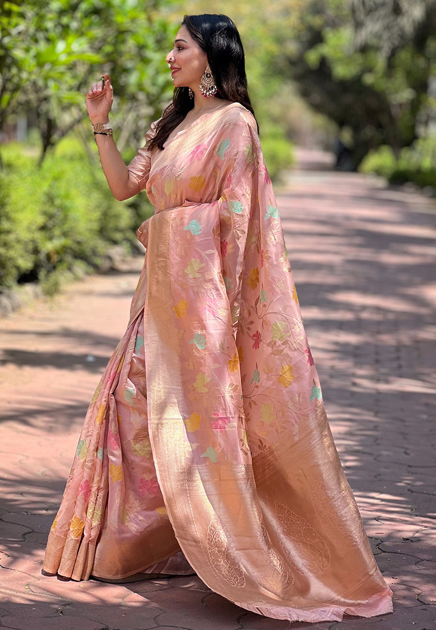 NAINA ORGANZA SAREE